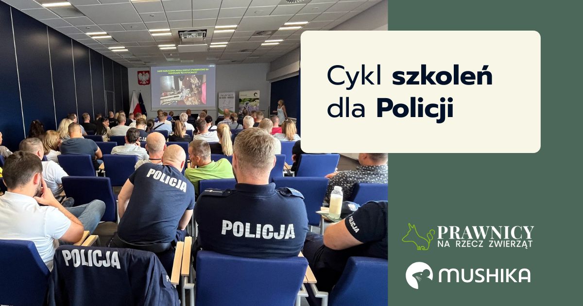 szkolenia dla policji grafika okładkowa