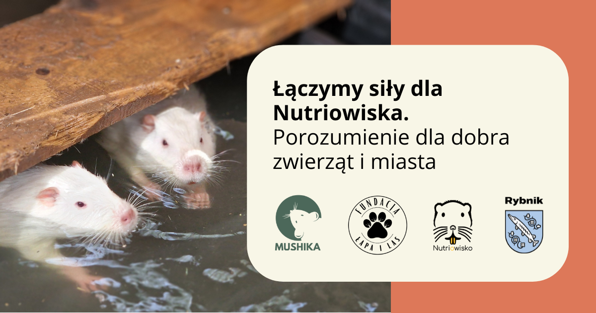Nutriowisko