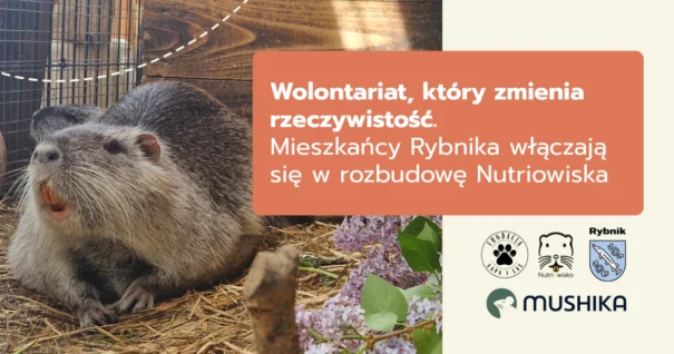 Wolontariat, który zmienia wszystko