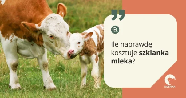 ile naprawdę kosztuje szklanka mleka