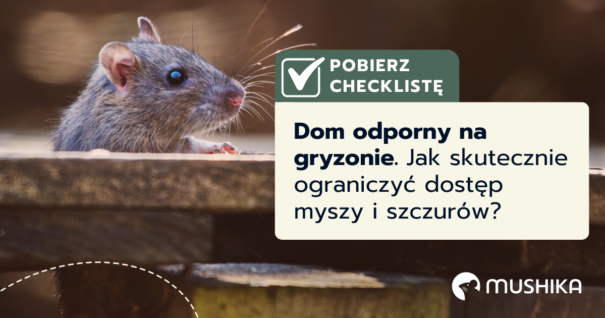 Dom odporny na gryzonie. Jak skutecznie ograniczyć dostęp myszy i szczurów?
