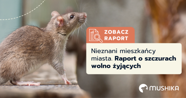 Nieznani mieszkańcy miasta. Raport o szczurach wolno żyjących
