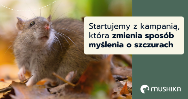 Startujemy z kampanią, która zmienia sposób myślenia o szczurach