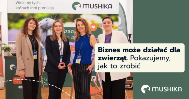 Biznes może działać dla zwierząt. Pokazujemy, jak to zrobić