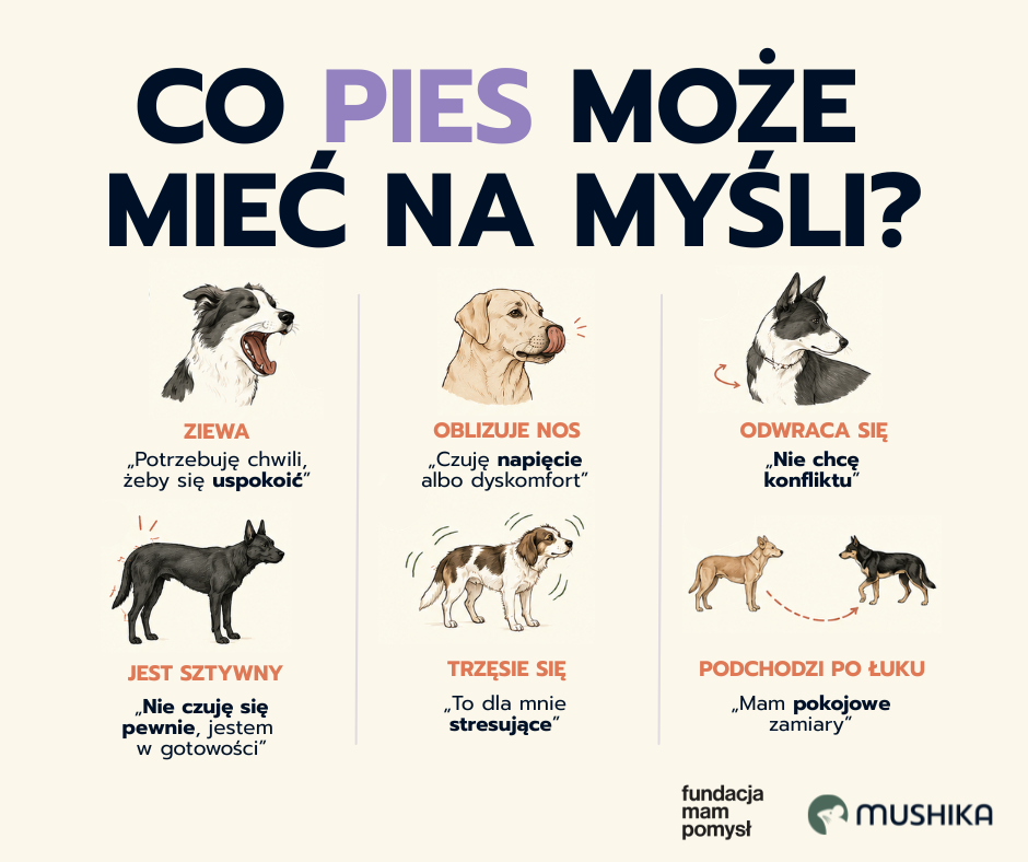 Co pies może mieć na myśli - infografika